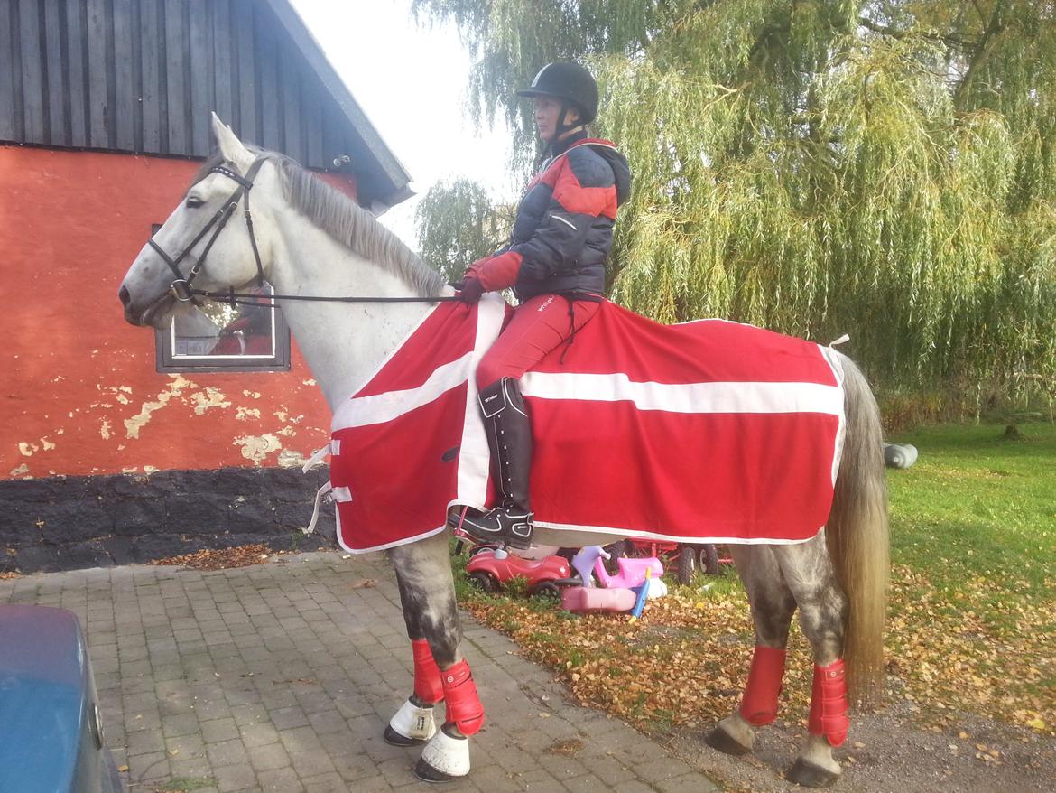 Anden særlig race Isha billede 1