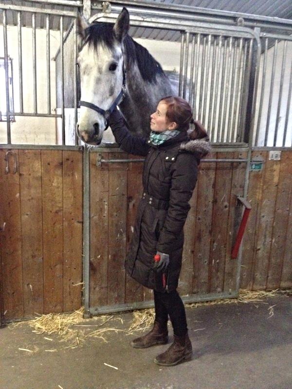 Anden særlig race C.G. Cool Cash billede 16