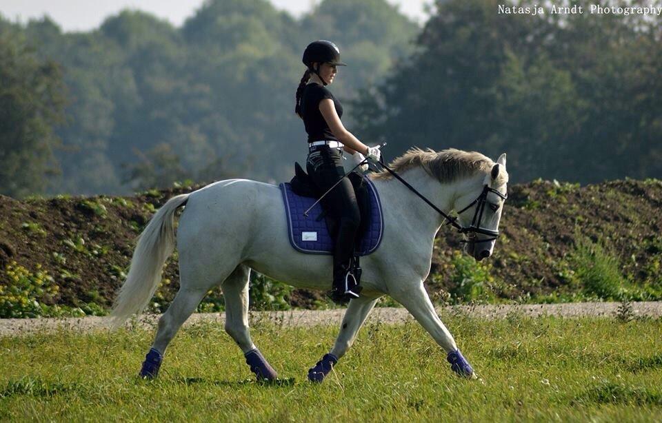 Anden særlig race Magic Latoya - Dressur på marken- sommer 2014 billede 9