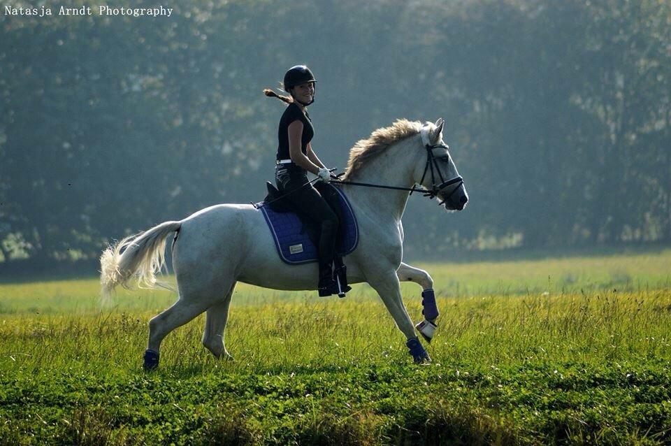 Anden særlig race Magic Latoya - sommern 2014 billede 10