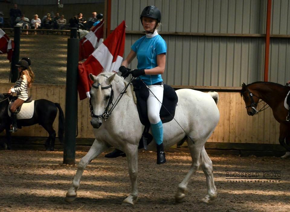 Welsh Pony (sec B) Lyngvejens Komet <3 - Akademisk stævne! <3 billede 4