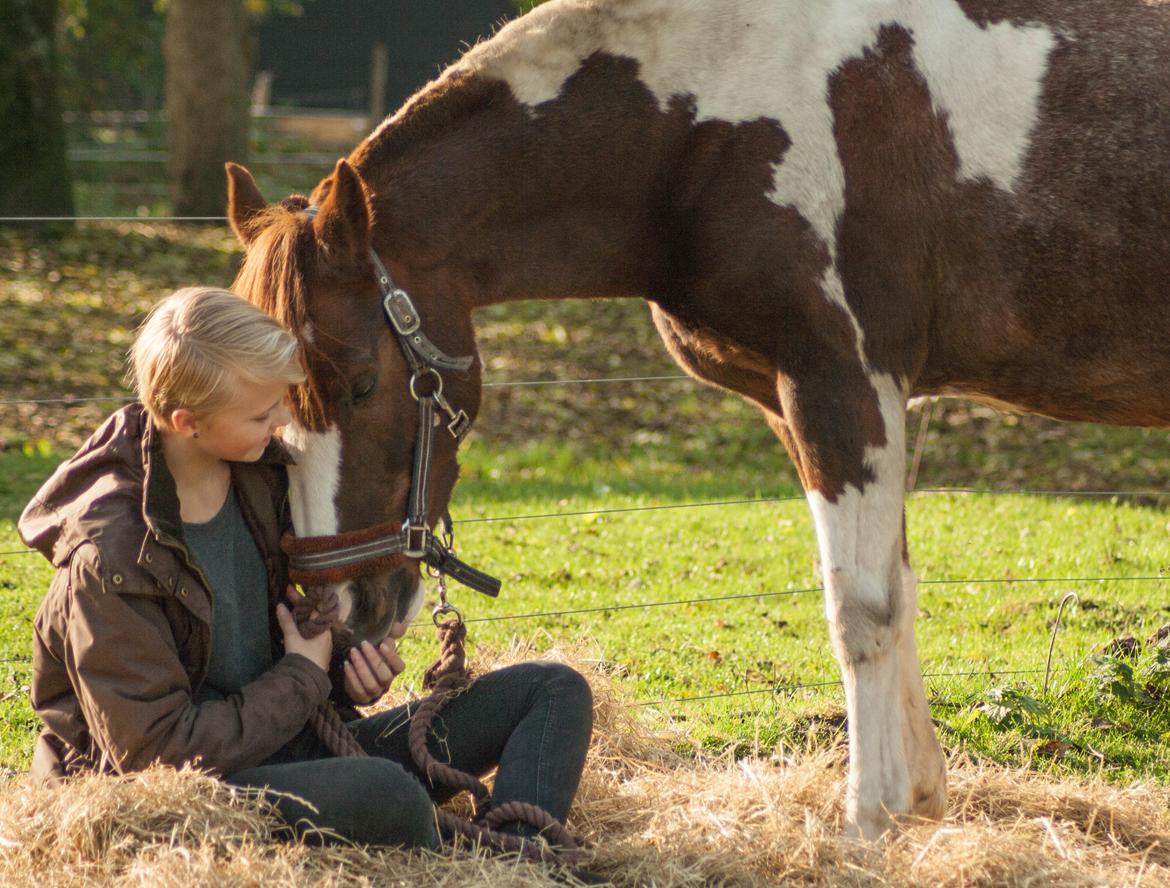 Pinto | Emir Ponygården | My best friend | billede 3