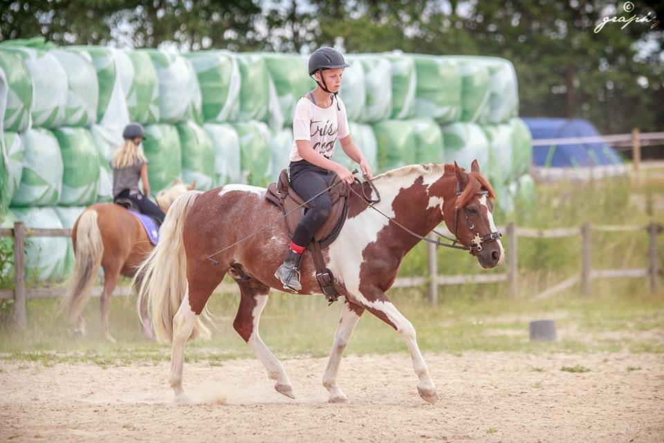 Pinto | Emir Ponygården | My best friend | billede 8