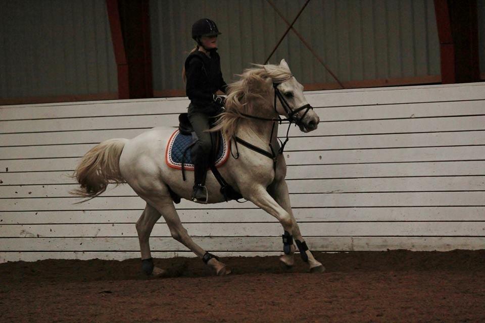 Anden særlig race Turgon - Fuld fart frem! billede 33