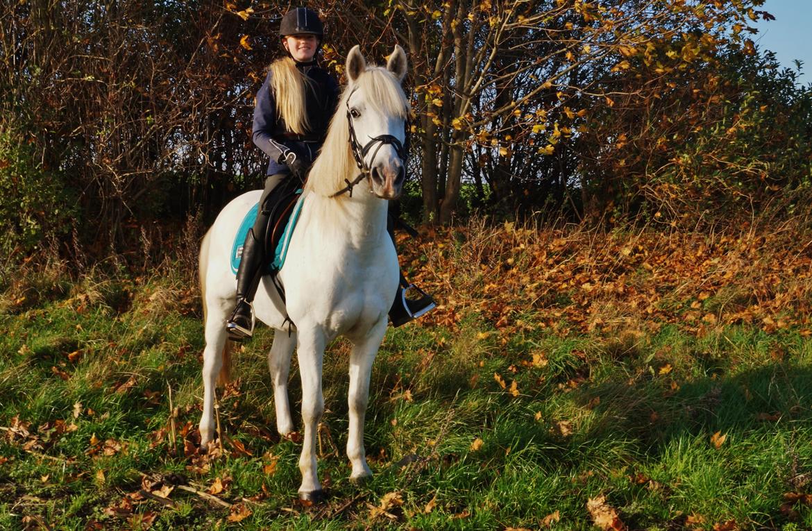 Anden særlig race Turgon billede 45