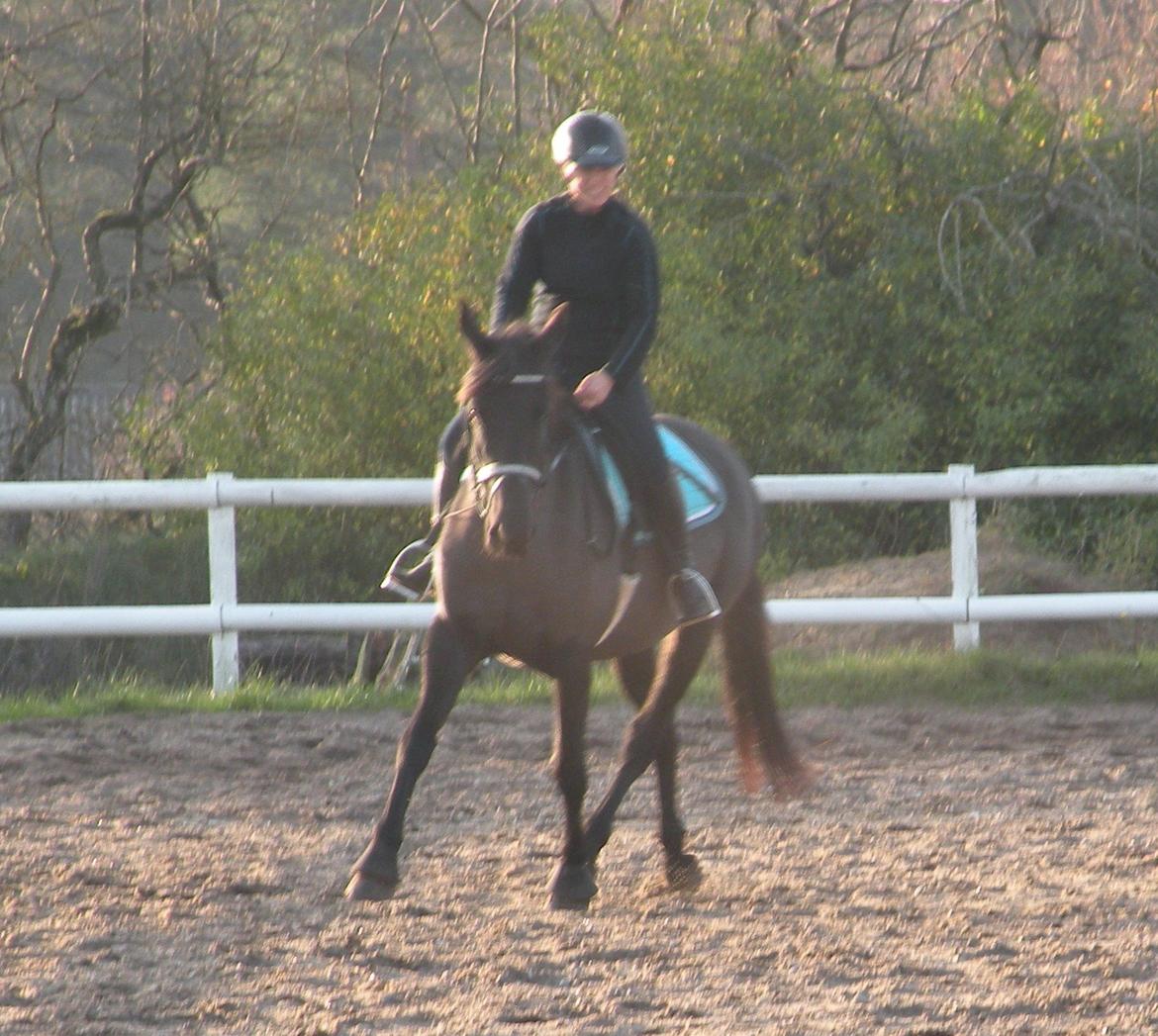 Pinto Kilgast's Nobell billede 18