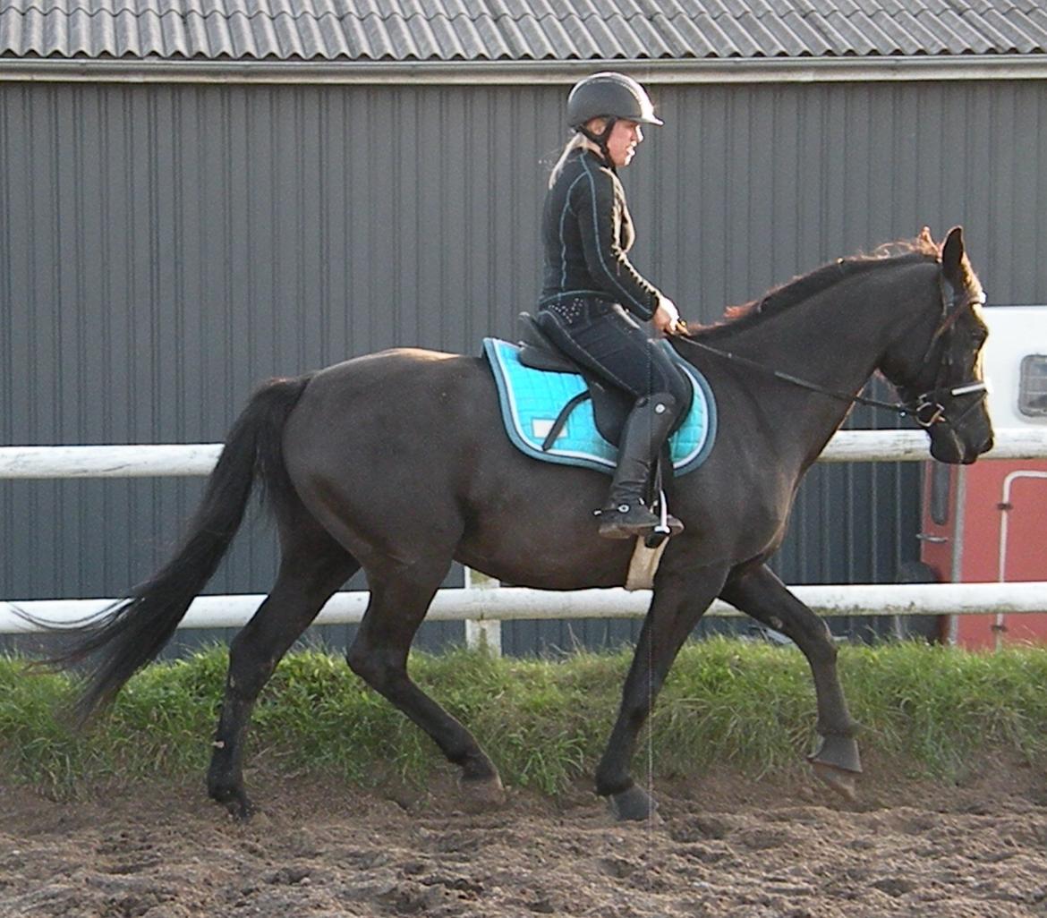 Pinto Kilgast's Nobell billede 19