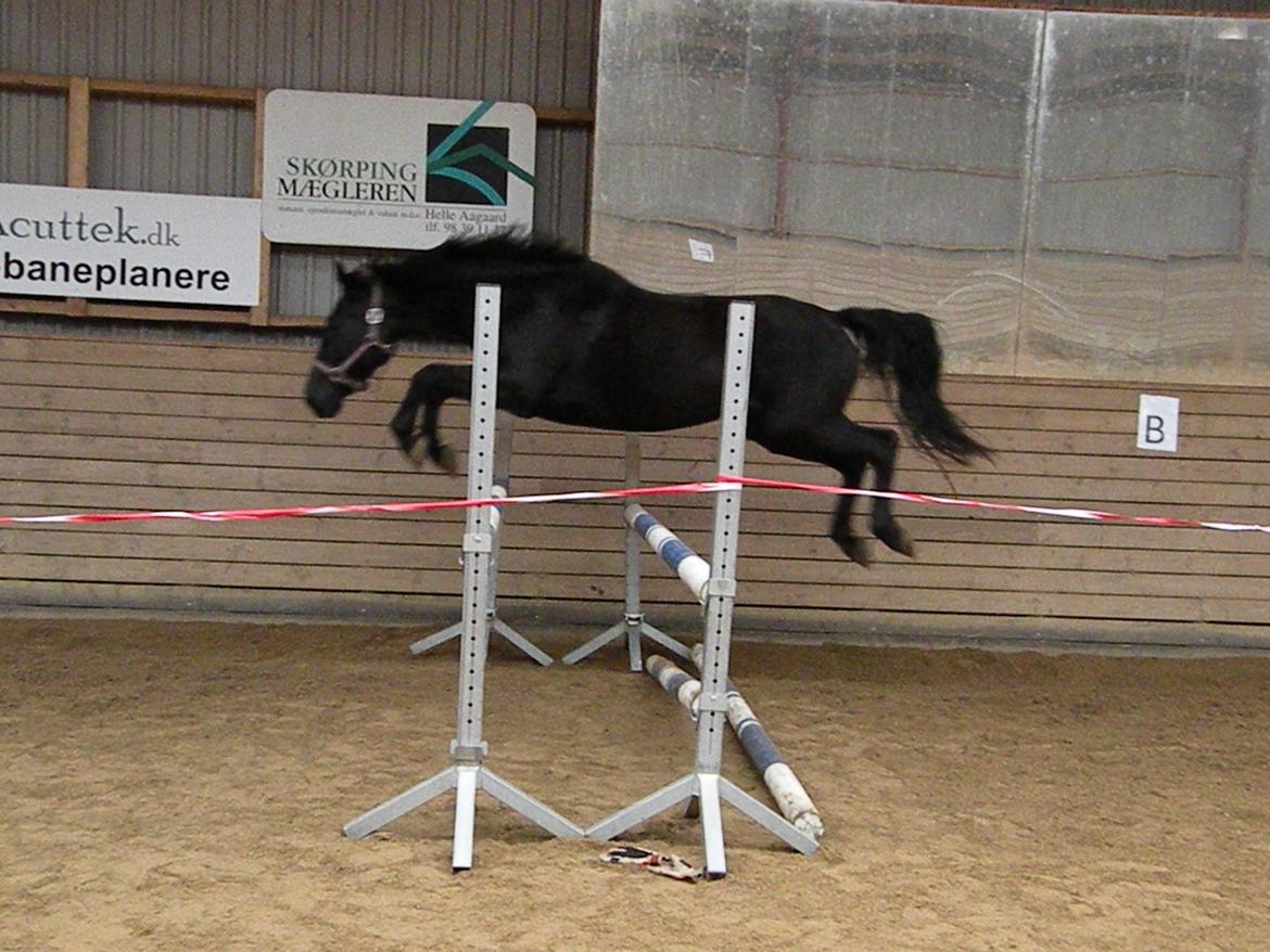 Pinto Kilgast's Nobell billede 16