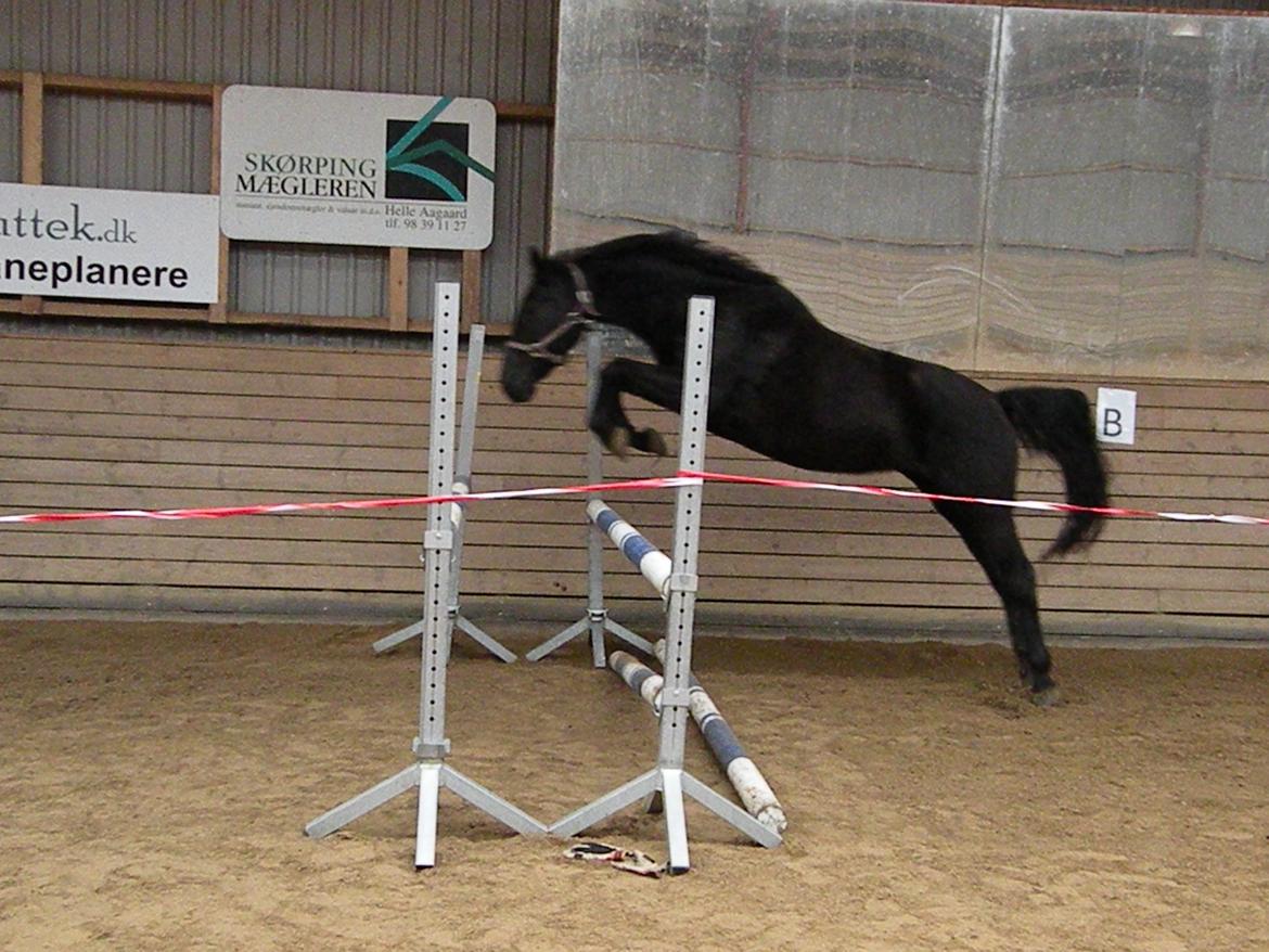 Pinto Kilgast's Nobell billede 20