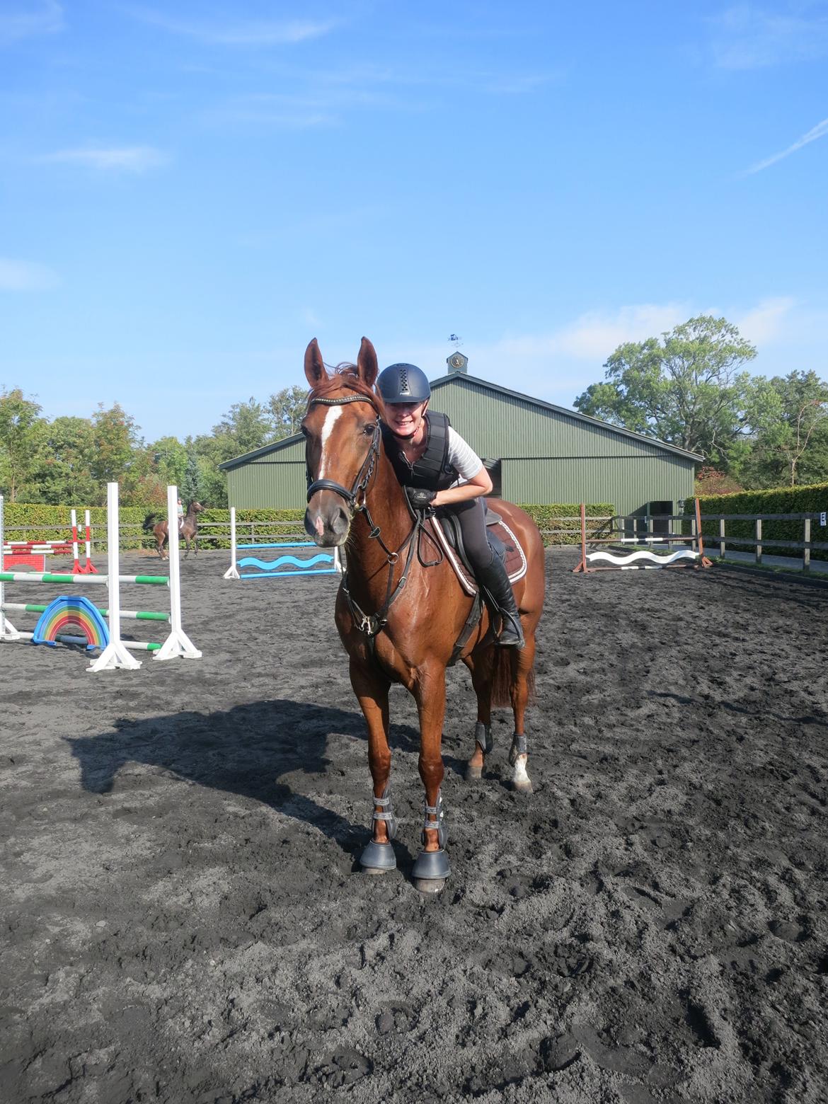 Dansk Varmblod Fiona - Billede fra 2. gangs prøvetur på Fiona billede 1