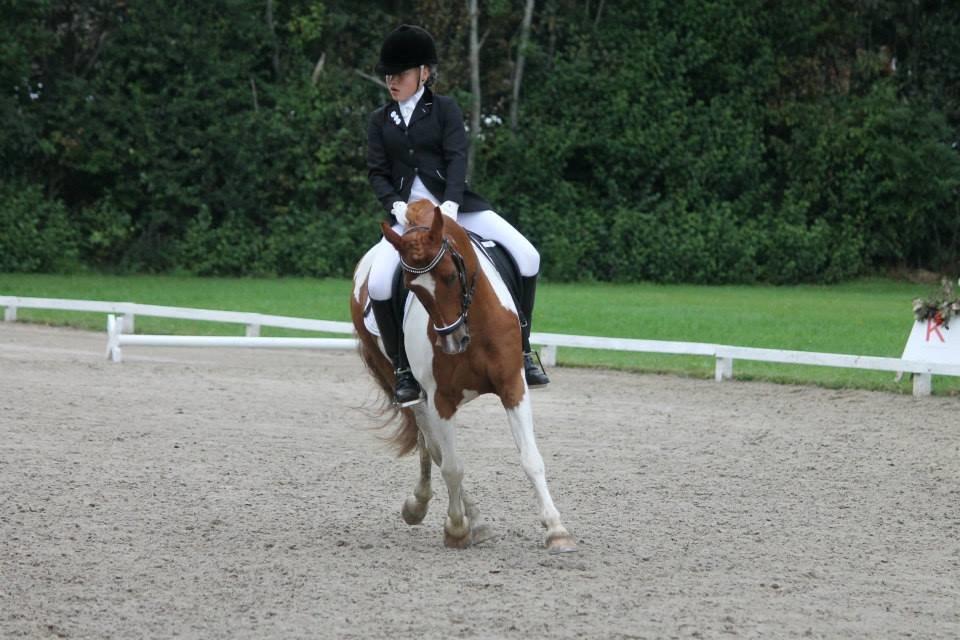 Anden særlig race Hidalgo - Sydjysk mesterskab for hold 2014! Fotograf: Sophia Ludvigsen billede 15