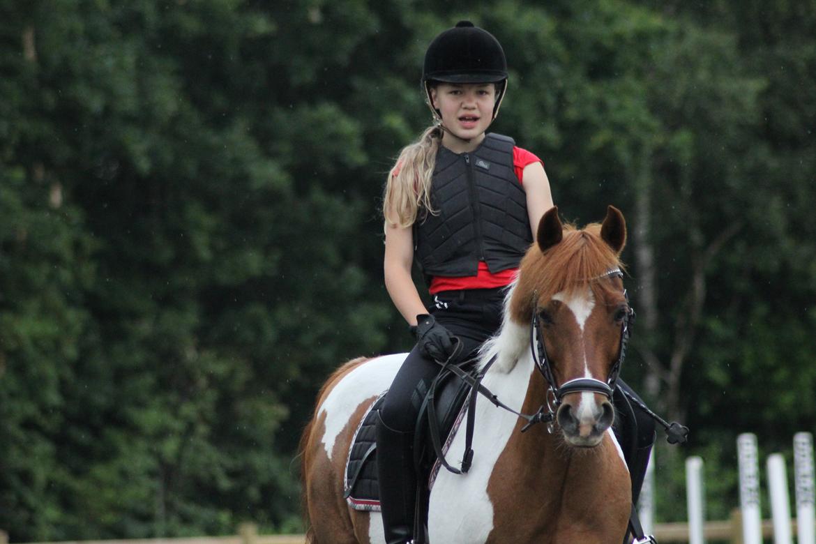 Anden særlig race Hidalgo - Den bedste ponydreng! Spring på TronsøSkolen, ridelejr 2014 Fotograf: Amalie Lønskov billede 16