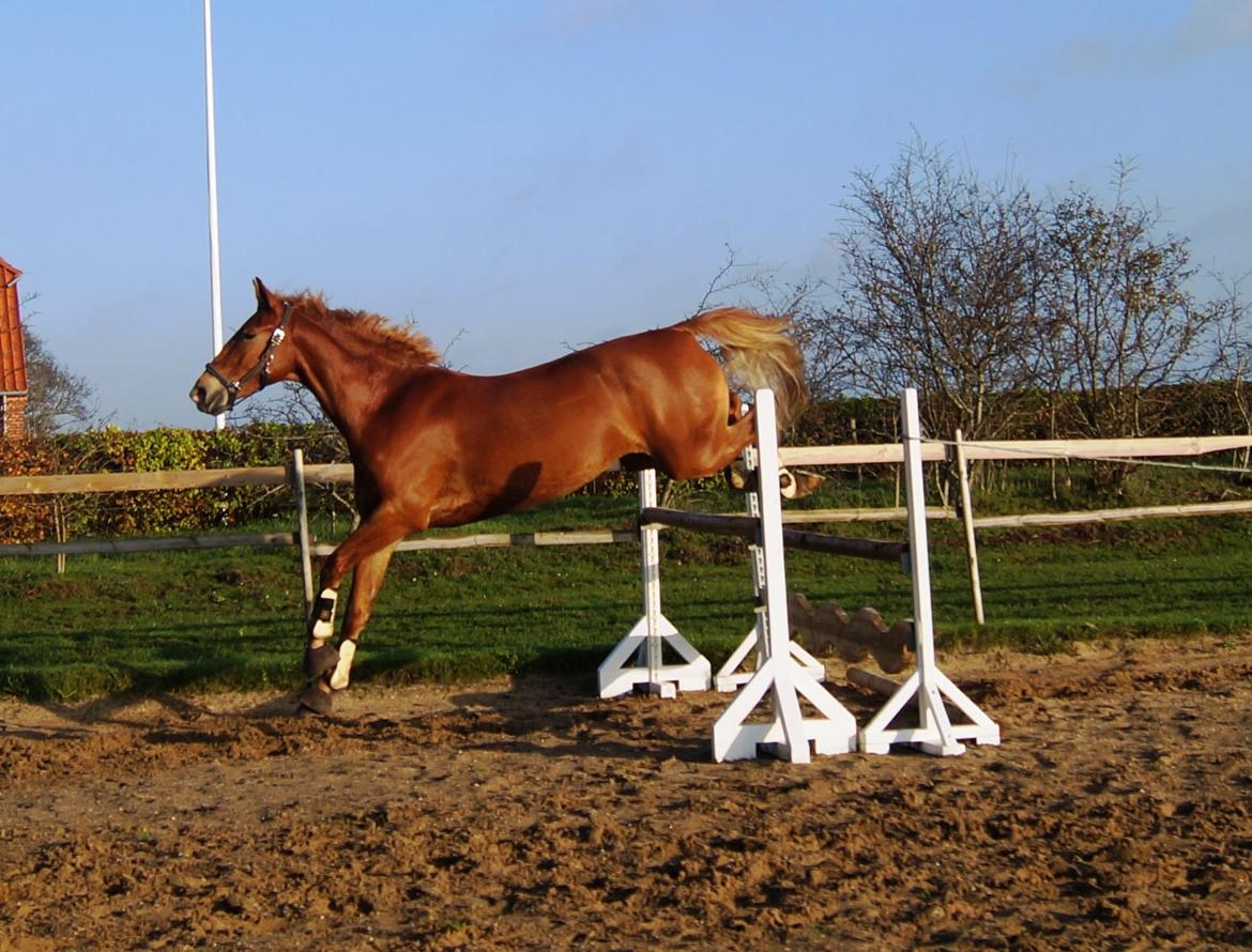 Frederiksborg Vejvads Chanel billede 4