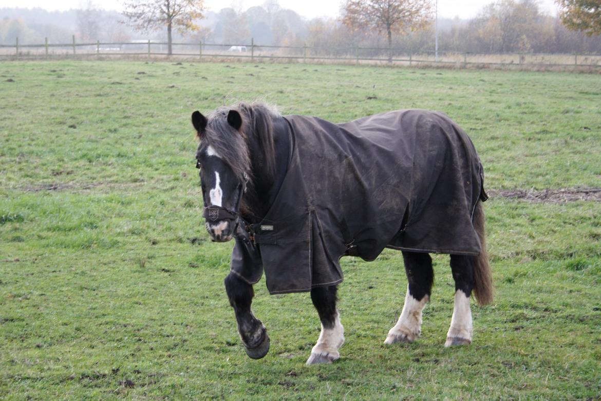 Tinker Major Mentz billede 2