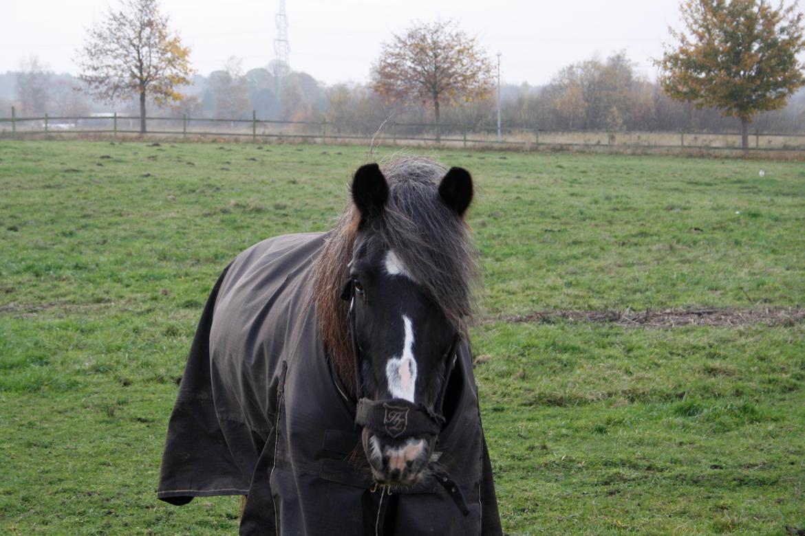 Tinker Major Mentz billede 1