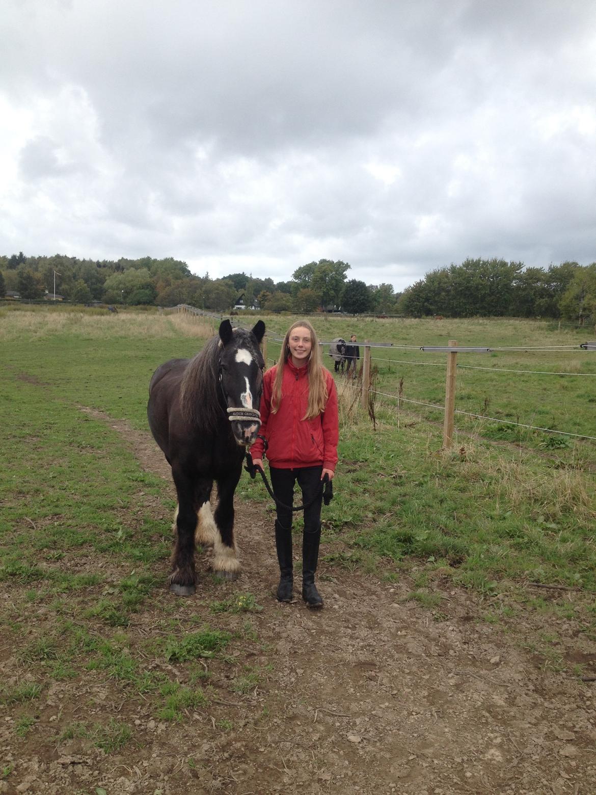 Tinker Major Mentz billede 14