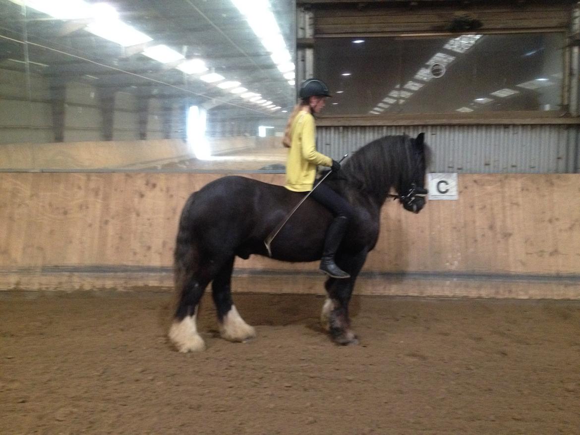 Tinker Major Mentz billede 10