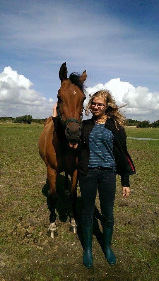 Anden særlig race La Cour (Deutsches Reitpferd/Hessisches Warmblut) - En dag i september 2014 - vi rækker lidt tunge! <3  billede 1