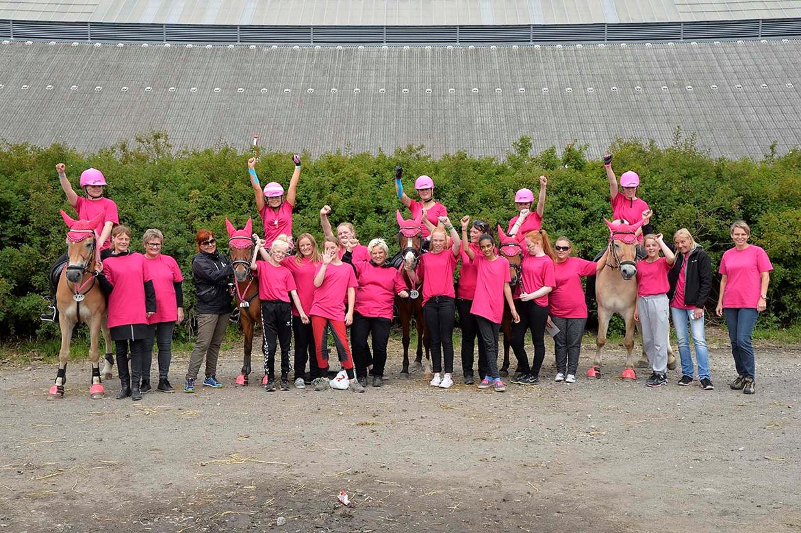 Fjordhest Bodyguard (GULE) billede 20