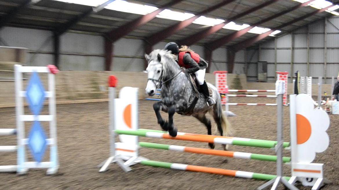 Connemara Klintly's macong billede 9