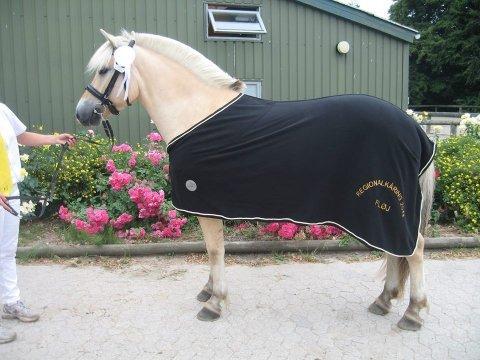 Fjordhest Rocco Vårby billede 3