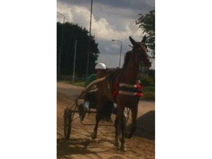 {{currentPhoto.altText}} billede {{currentPhoto.number}}