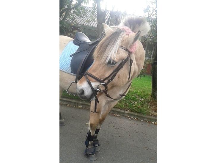 {{currentPhoto.altText}} billede {{currentPhoto.number}}