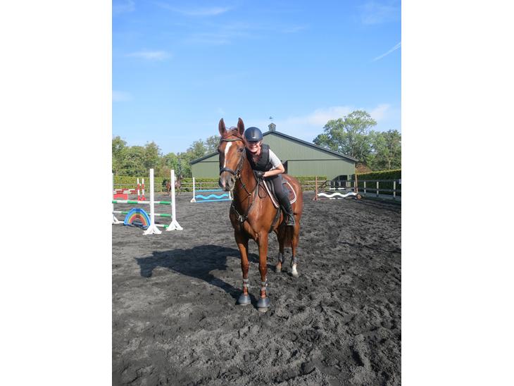 {{currentPhoto.altText}} billede {{currentPhoto.number}}