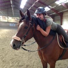 DSP Haahr`s Dumbledore