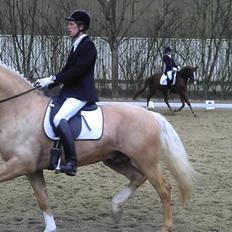 Frederiksborg Hector Krogvænget