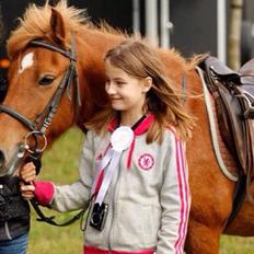 Anden særlig race Alie (Tidl. Passer)