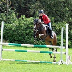 Pinto Secret Princess