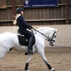 Connemara Maskenkols Calimero