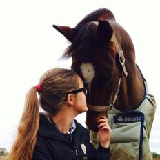 Anden særlig race Filur (Futte)