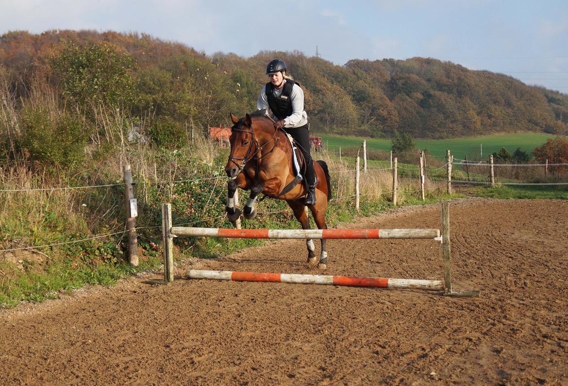 Traver Baron EK (S) billede 8