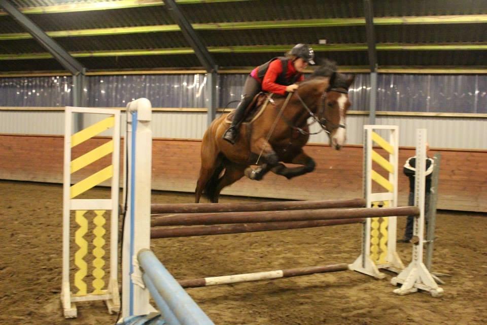 DSP Haahr`s Dumbledore - Spring træning ved Bas billede 9