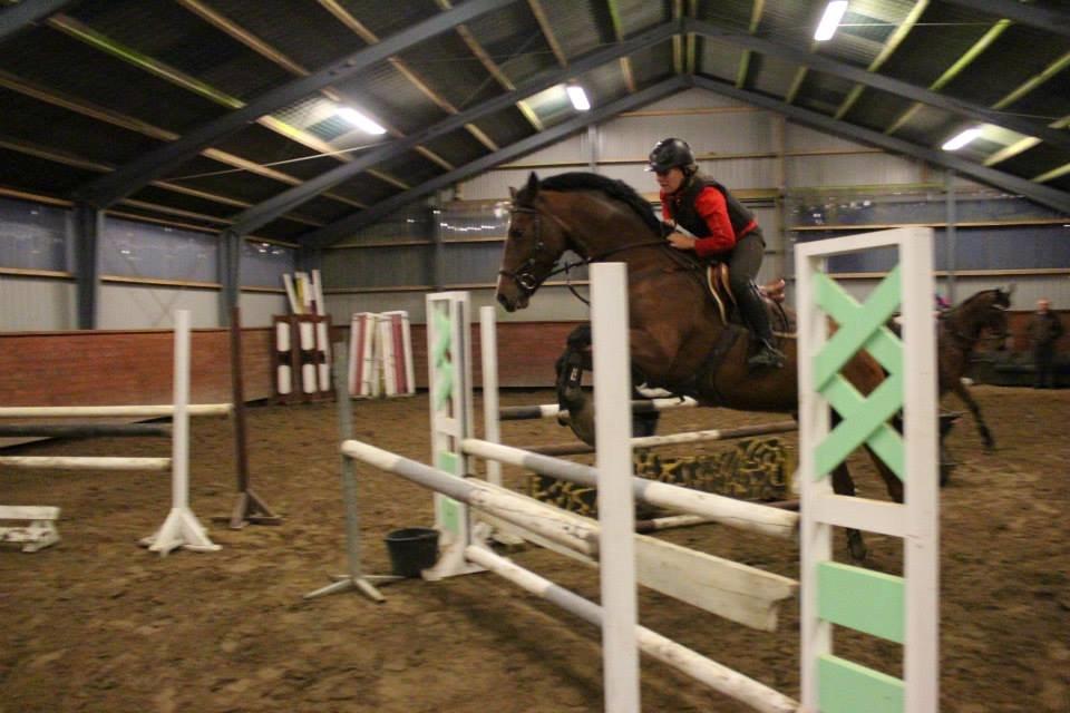 DSP Haahr`s Dumbledore - Springtræning ved Bas billede 10