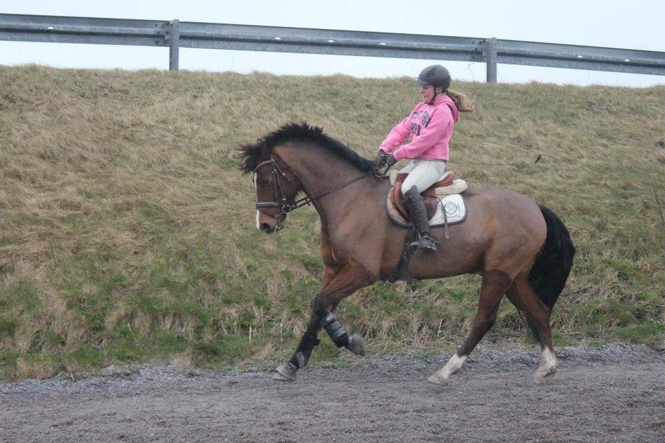 DSP Haahr`s Dumbledore billede 12