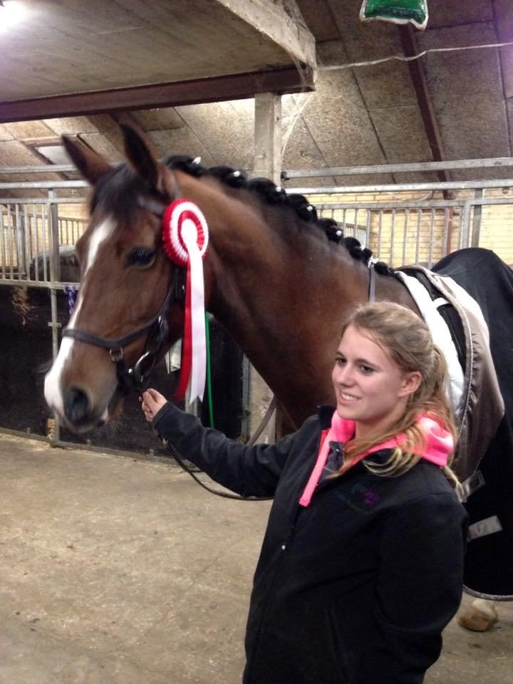 DSP Haahr`s Dumbledore - 1 plads dressur med Julie LC1 70,5 % billede 8