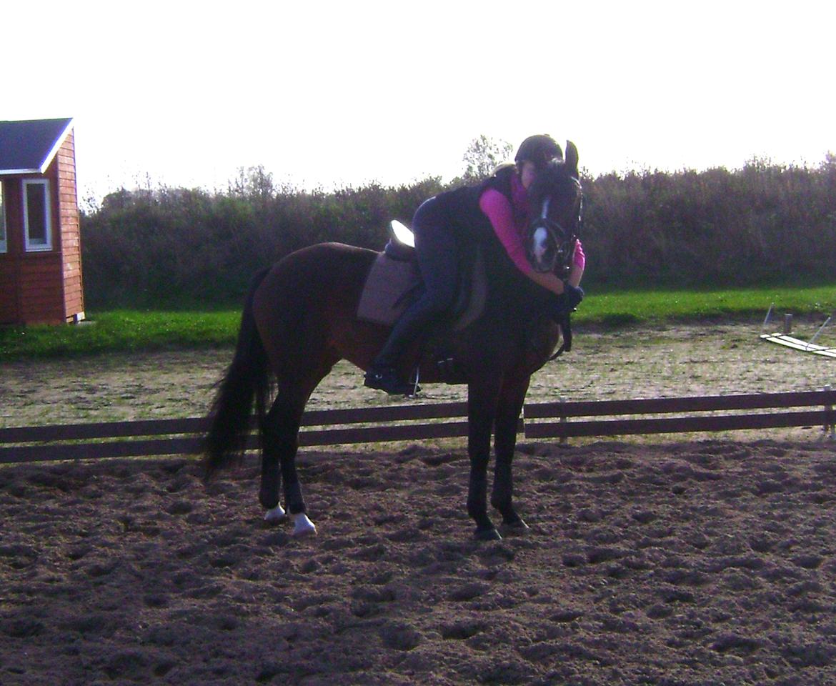 Anden særlig race Angel <3 billede 20