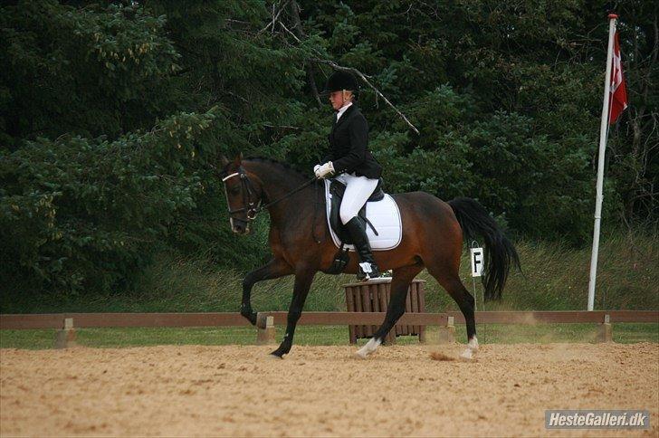 Anden særlig race Angel <3 billede 19