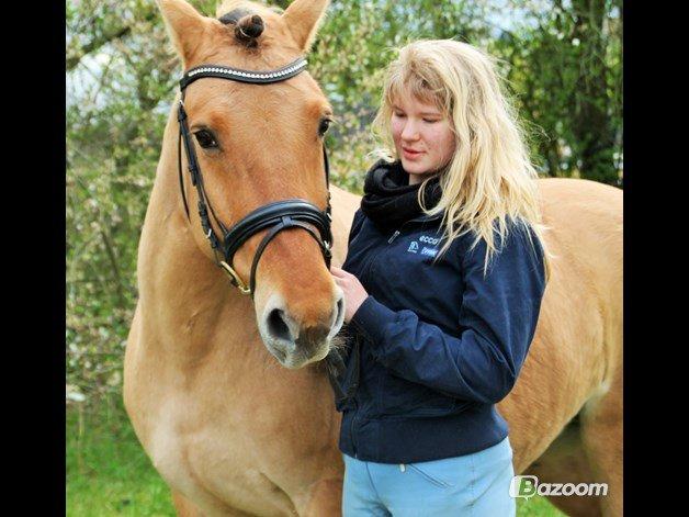 Anden særlig race Bamseline billede 1