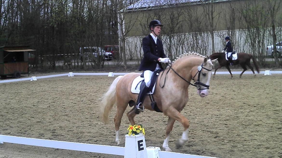 Frederiksborg Hector Krogvænget billede 1