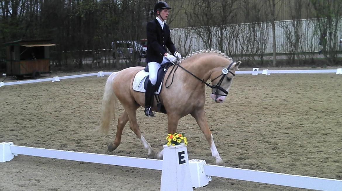 Frederiksborg Hector Krogvænget billede 5