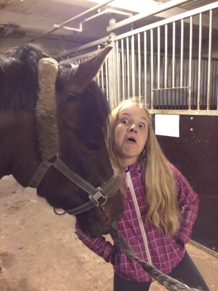 Anden særlig race Arosa - en træt pony og en skør Mathilde  billede 24