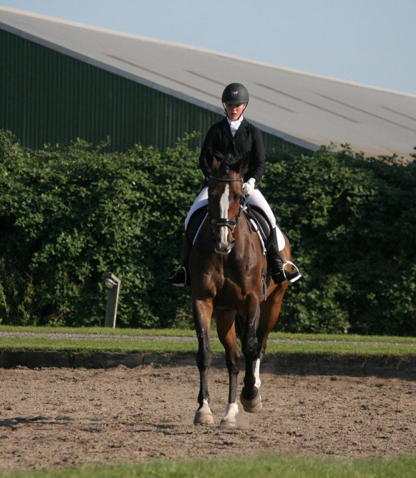 Dansk Varmblod Meiro - Så dygtig en prinsesse jeg har :) billede 7