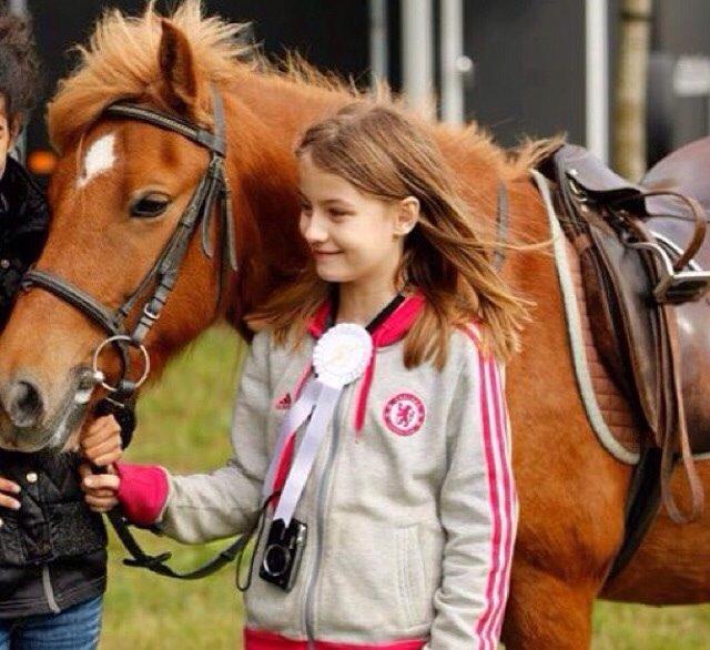 Anden særlig race Alie (Tidl. Passer) billede 3