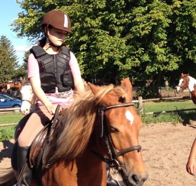 Anden særlig race Alie (Tidl. Passer) billede 5