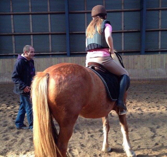 Anden særlig race Alie (Tidl. Passer) billede 8