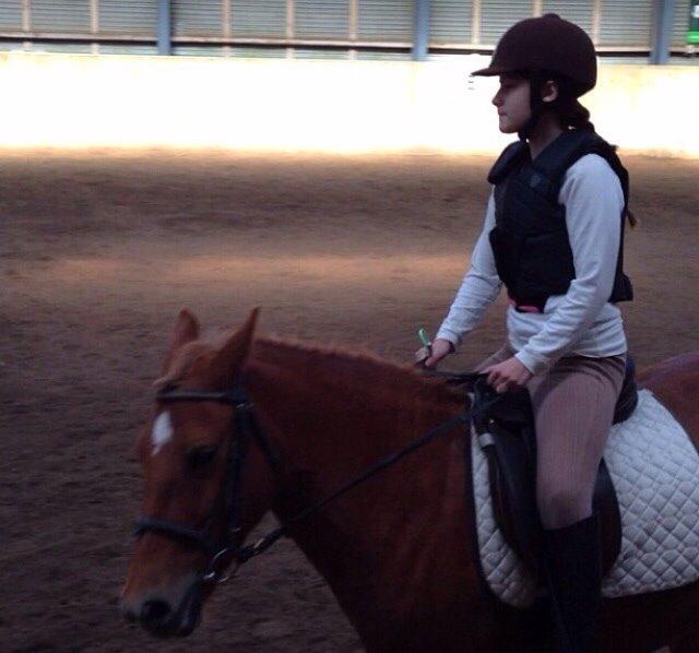 Anden særlig race Alie (Tidl. Passer) billede 12